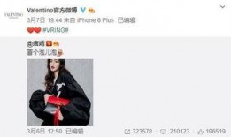 ldol最新爆料,揭秘娱乐圈最新动态与幕后故事